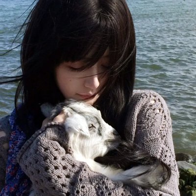 冰川时代5：星际碰撞